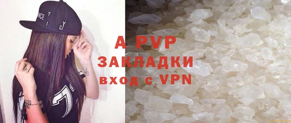 стаф Волоколамск