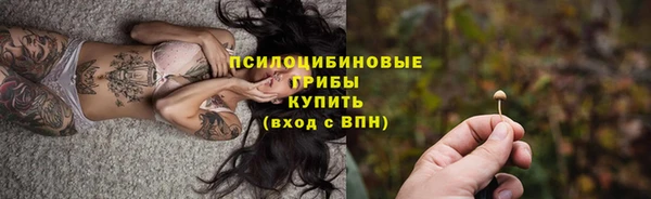 гидра Володарск