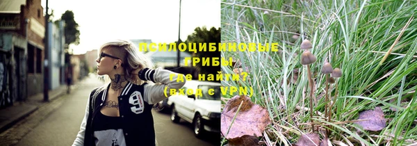 стаф Волоколамск