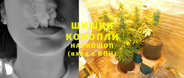 гидра Володарск
