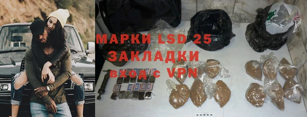 гидра Володарск